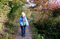 Winchester 23 Oct 2020